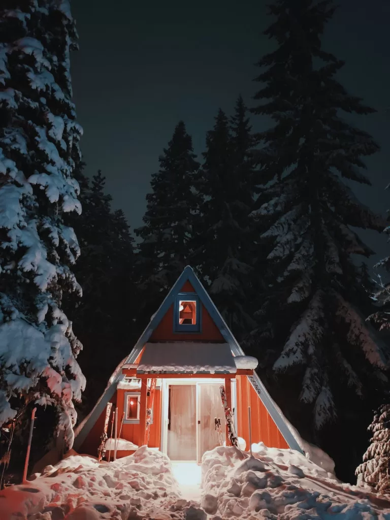 pexels-photo-3551230 - The Paris Post brown wooden house in the middle of forest during night time | An Opened Door | A poem of a wood house