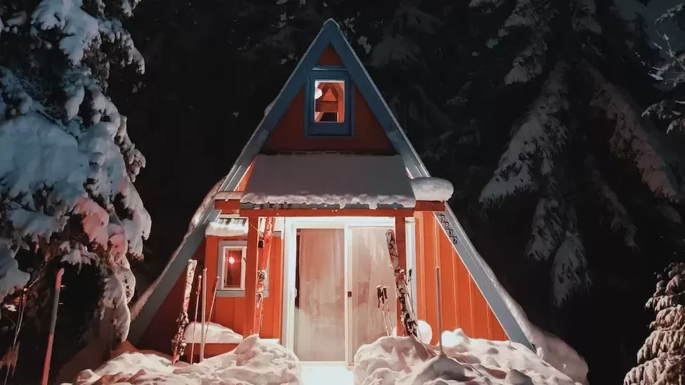 brown wooden house in the middle of forest during night time
