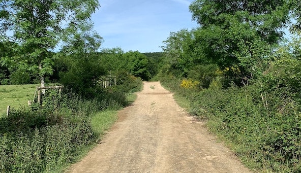 Bumpy_Dirt_Roads - The Paris Post Bumpy Dirt Roads