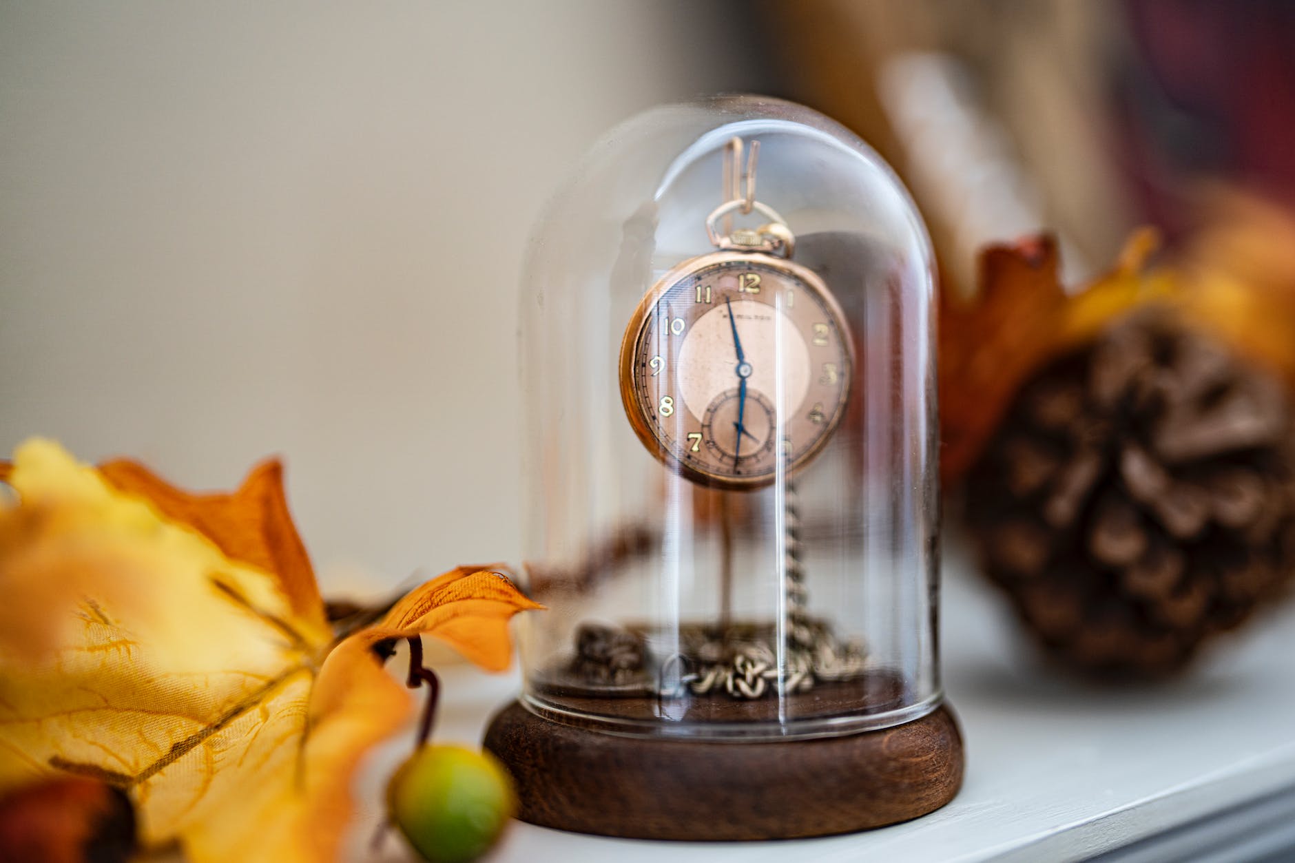 pexels-photo-14158292 - The Paris Post pocket watch on a watch holder Time Will Tell