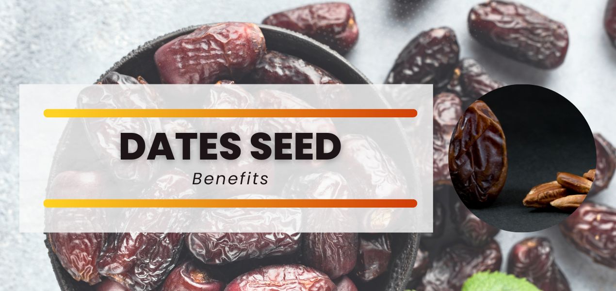Date seeds should never be thrown away after use because they have so many amazing health advantages. Learn more about the vitamins and minerals that dates seed provide for your health.