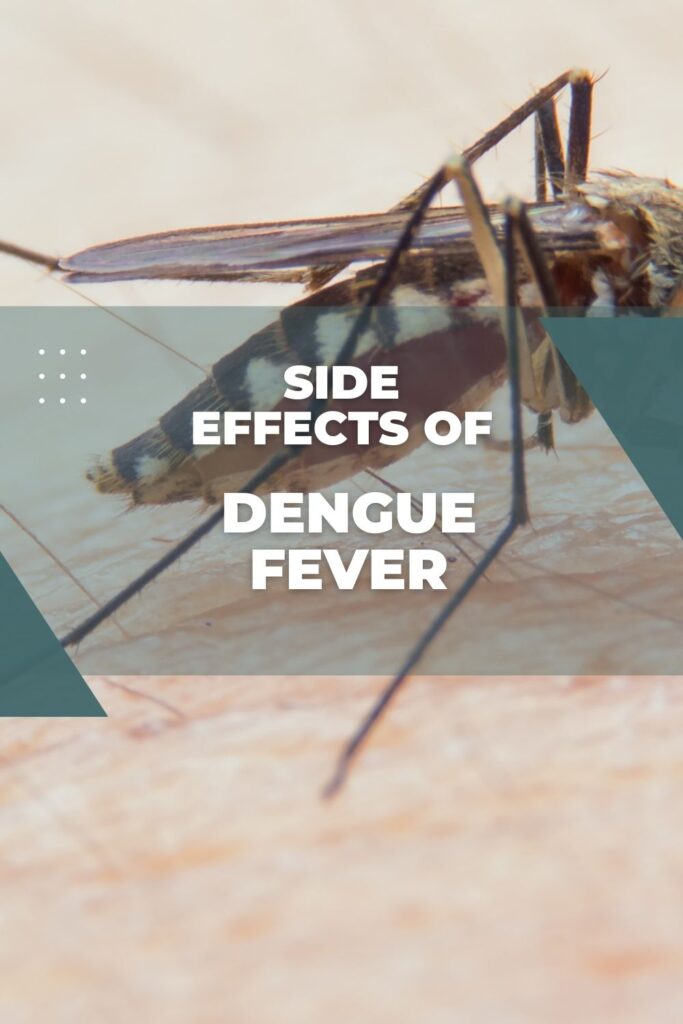 5-long-term-side-effects-of-dengue-fever_body_pin - The Paris Post 5 Long-term side effects of dengue fever
