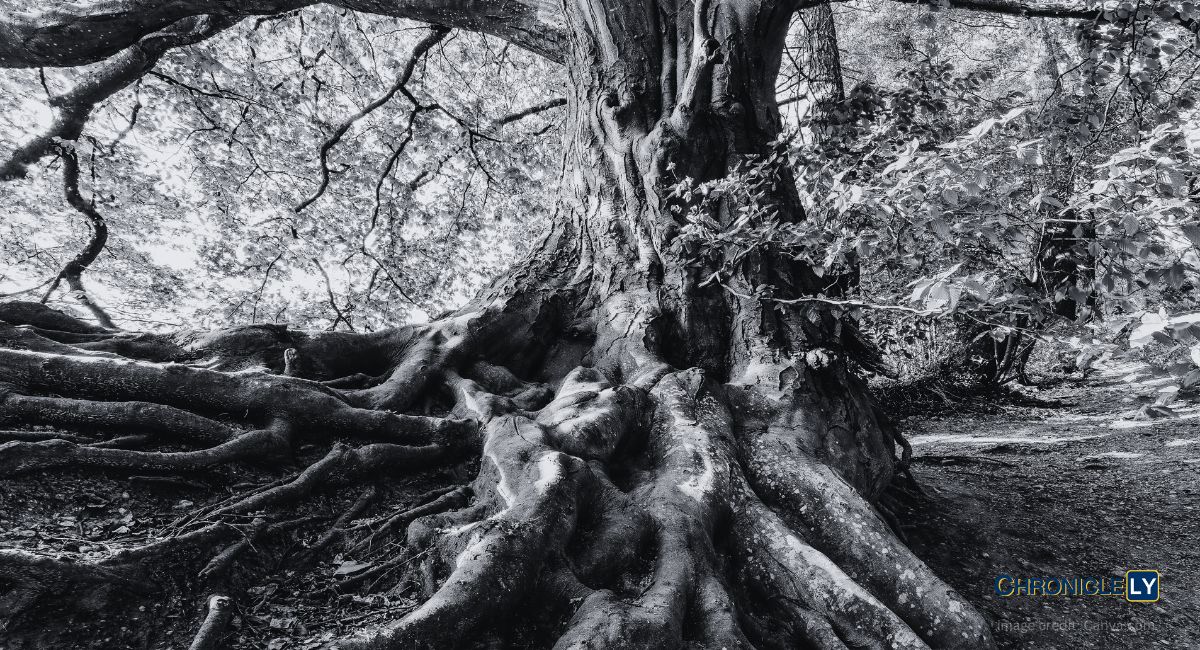 A mother's love, a daughter's want, memories intertwine. Words of love, timeless bond. Remind me, dear, of life's light and love. Eternal embrace.