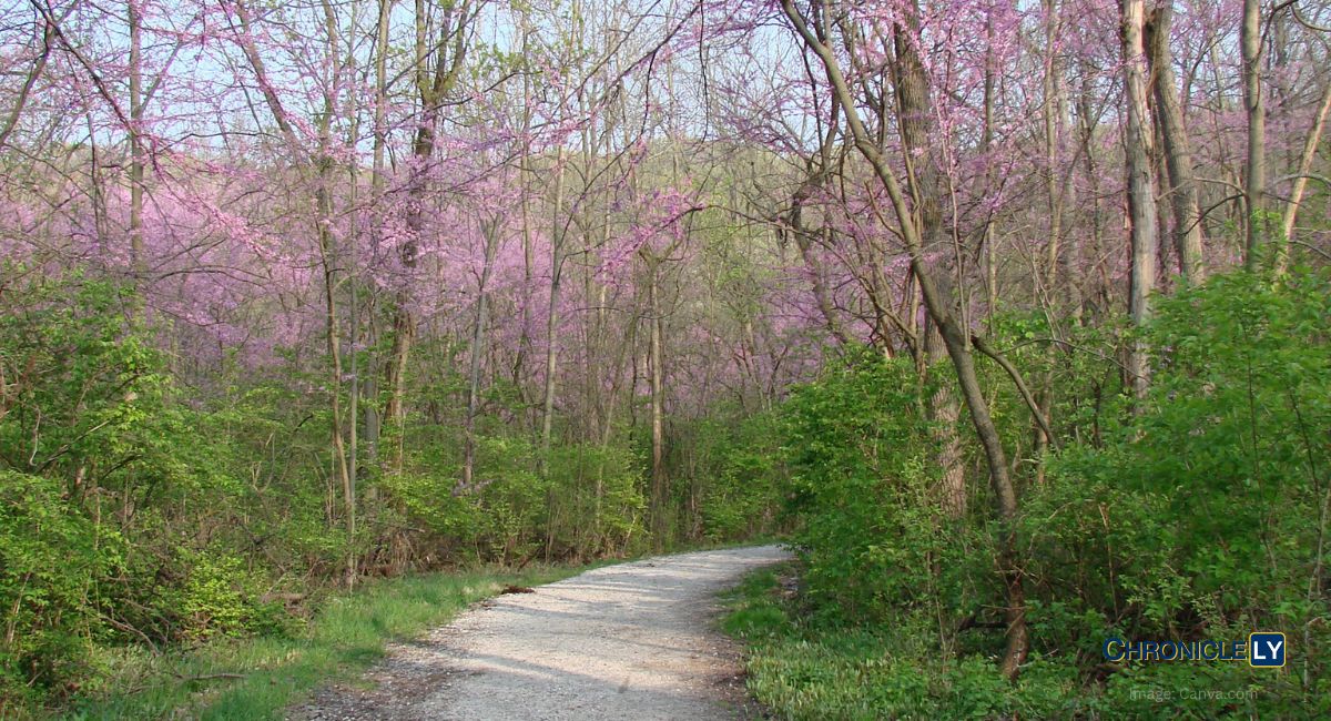 Poem extols love, faith, gratitude, and God's guidance through life's journey, urging to walk with joy, kindness, and appreciation for blessings.