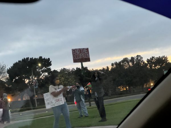 Pro-Palestine and Iran Protests on May 17th in Irvine, CA.