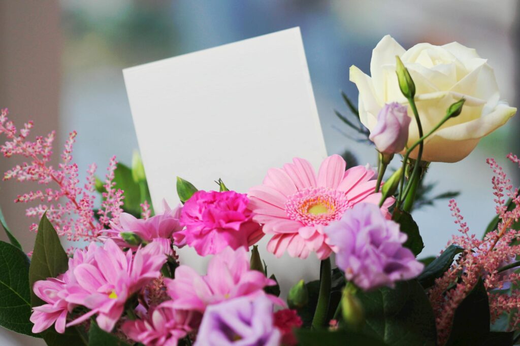 white rose and pink daisy