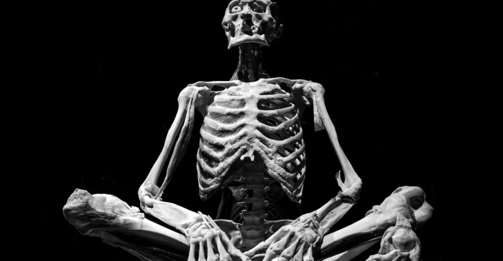 Explore how human bone banks support surgeries through safe grafts, donor screening, and future-ready technologies in orthopedic and dental medicine.