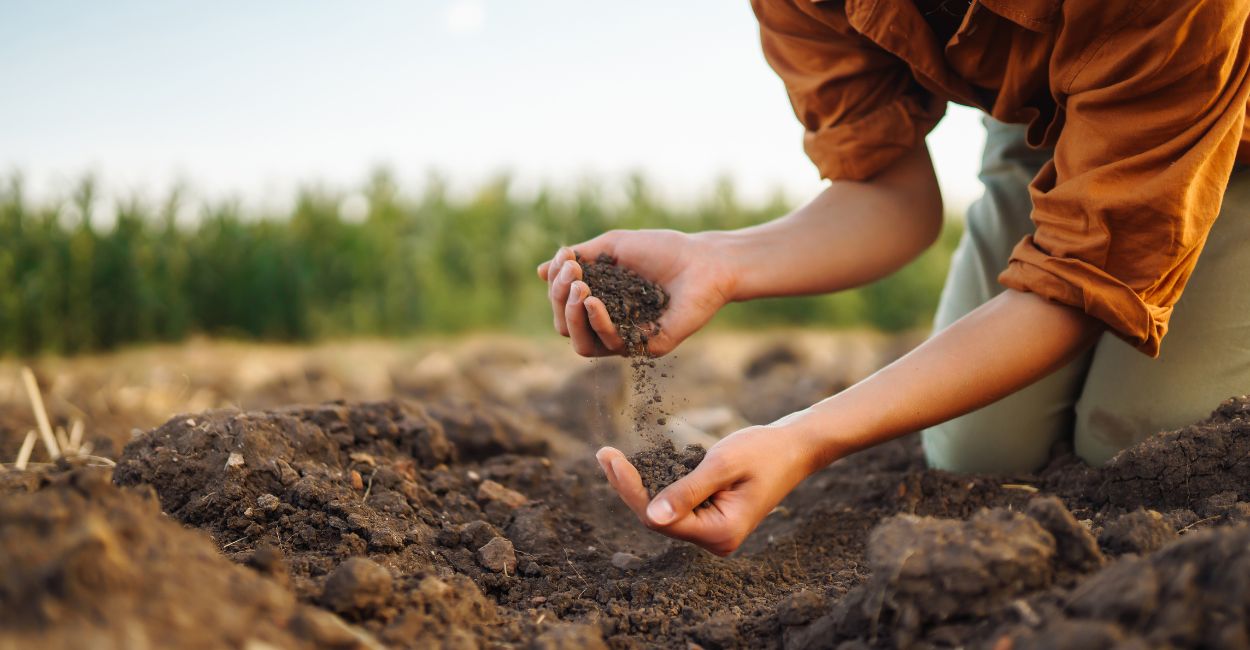 soil-report-examine-the-soil-around-you - The Paris Post A comparative self-report study analyzing soil samples from urban and rural areas, evaluating differences in pH, texture, nutrient content, and fertility using basic lab techniques.