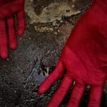 red-algae-poem - The Paris Post