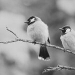 two-birds-one-stone-surviving-the-daily-grind-by-ordinary-people - The Paris Post Explore a wide range of examples of the "two birds, one stone" principle. See how combining tasks can boost efficiency in your personal and professional life.