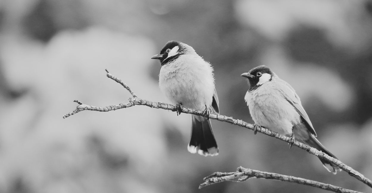 two-birds-one-stone-surviving-the-daily-grind-by-ordinary-people - The Paris Post Explore a wide range of examples of the "two birds, one stone" principle. See how combining tasks can boost efficiency in your personal and professional life.